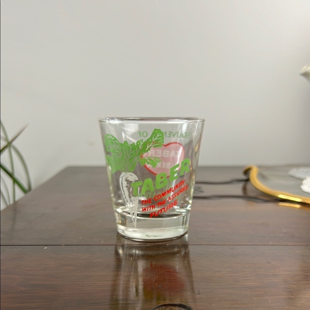 Taber Shot Glass Large Red and Green